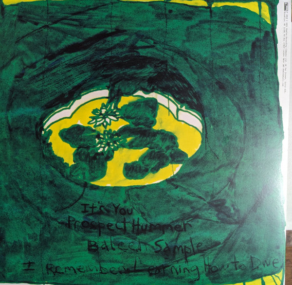 Animal Collective : Prospect Hummer (12", EP, RE, RP)