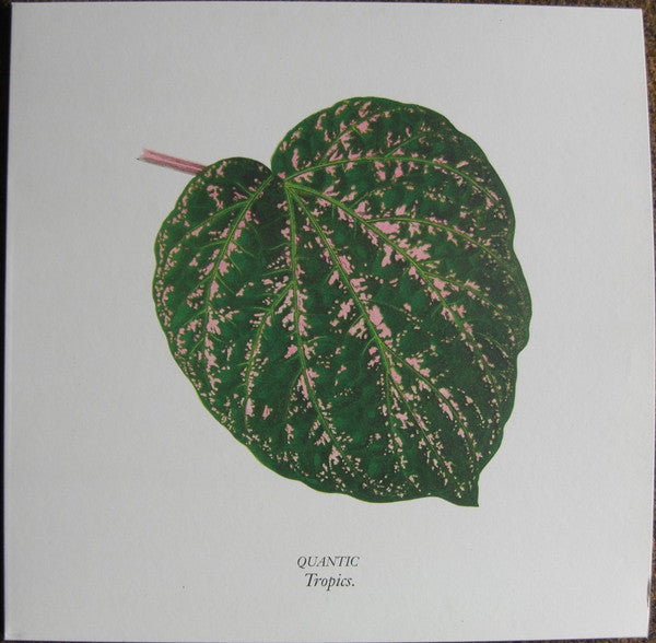 Quantic : Tropics (12", Pea)