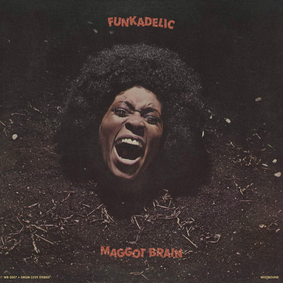 Funkadelic - Maggot Brain Audiophile Org Music Issue LP