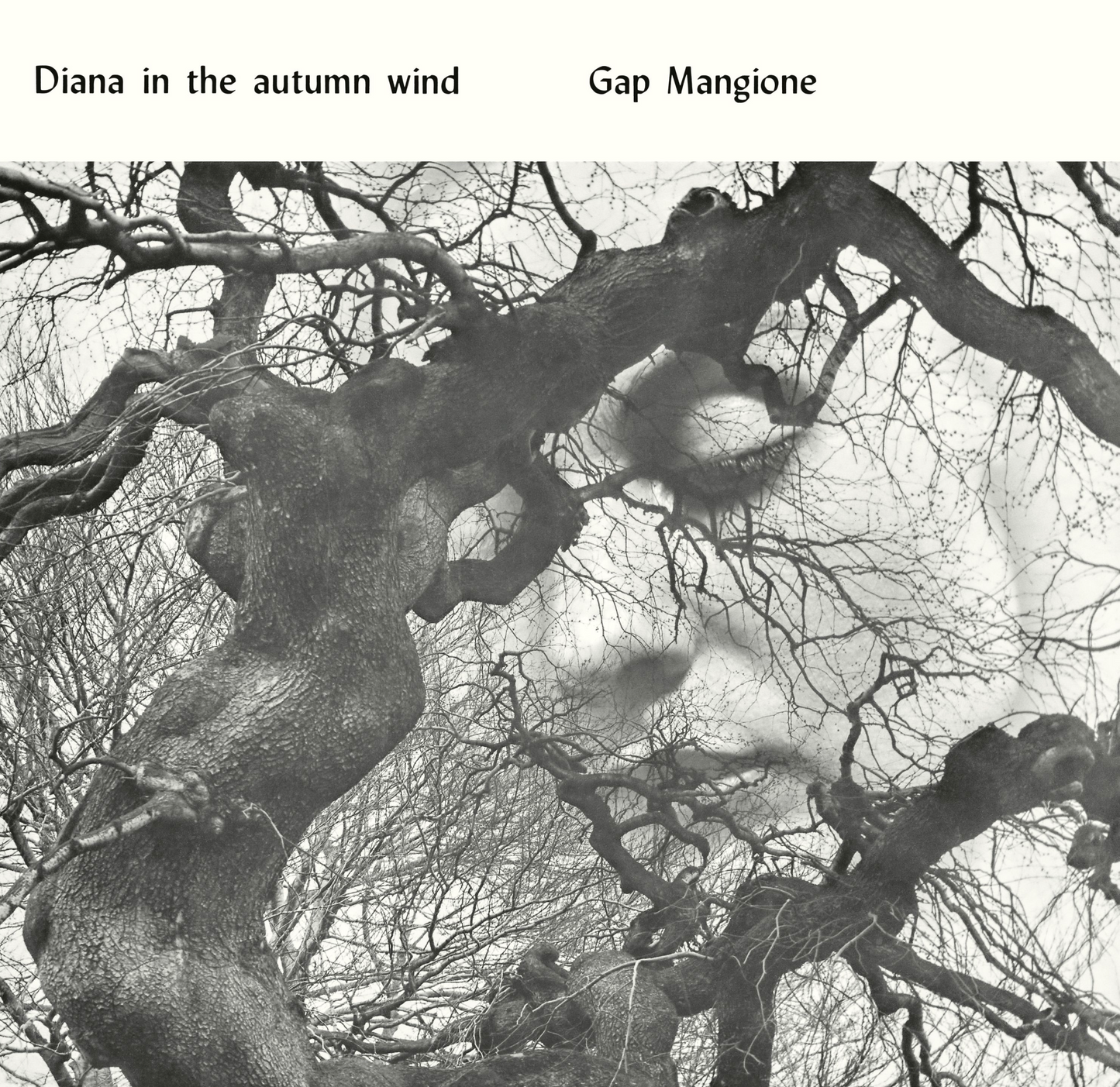 Diana in the Autumn Wind - Gap Mangione LP