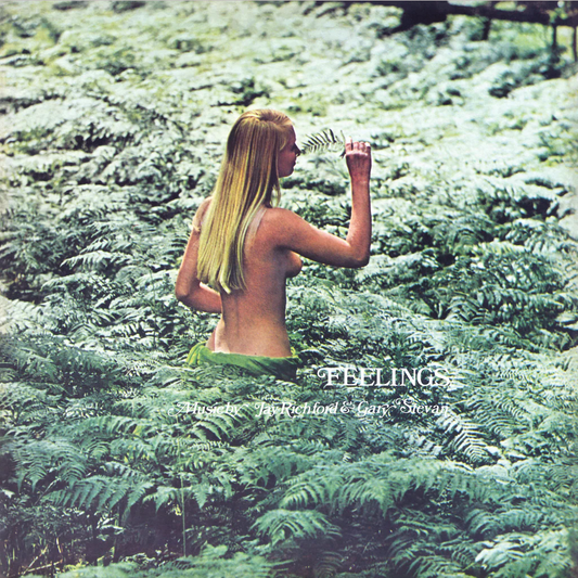 Feelings - Jay Richford & Gary Stevan LP
