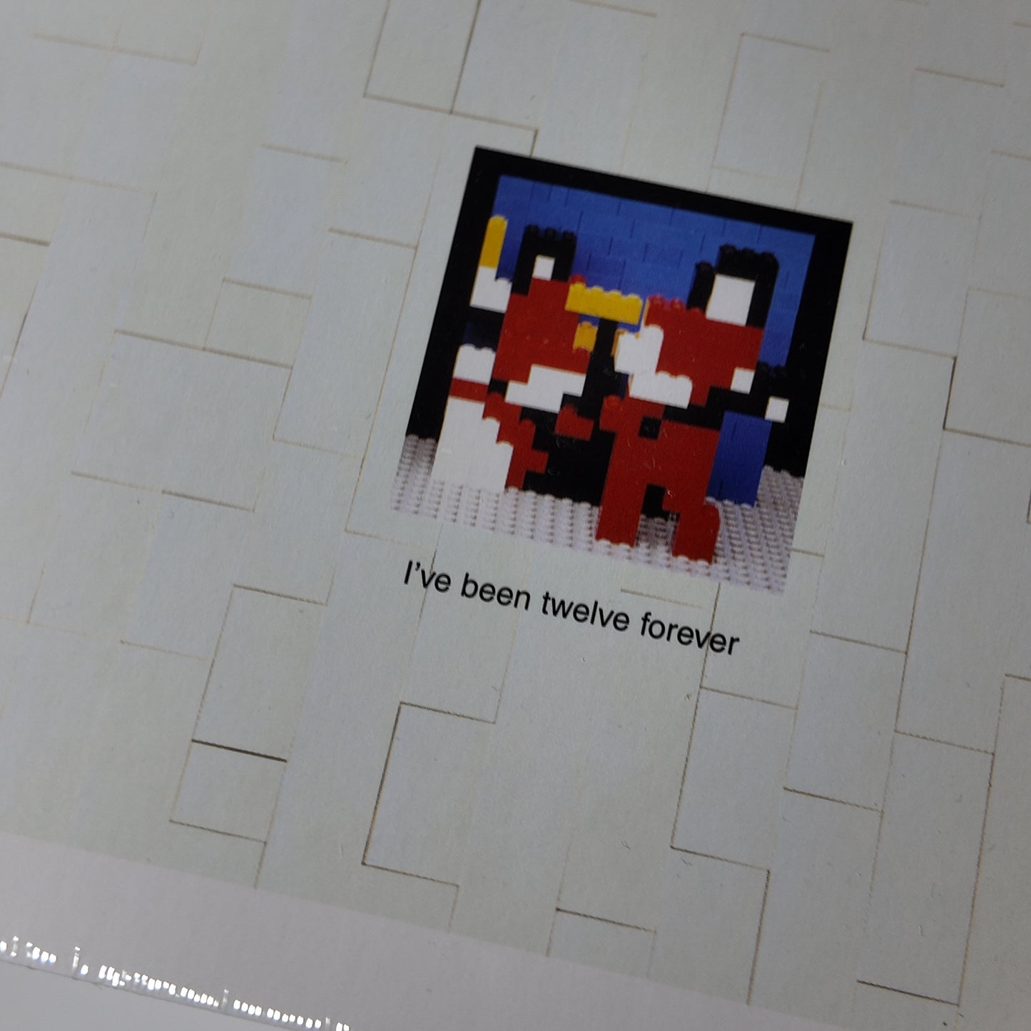 Michael Gondry / Chris Cunningham DVD Bundle