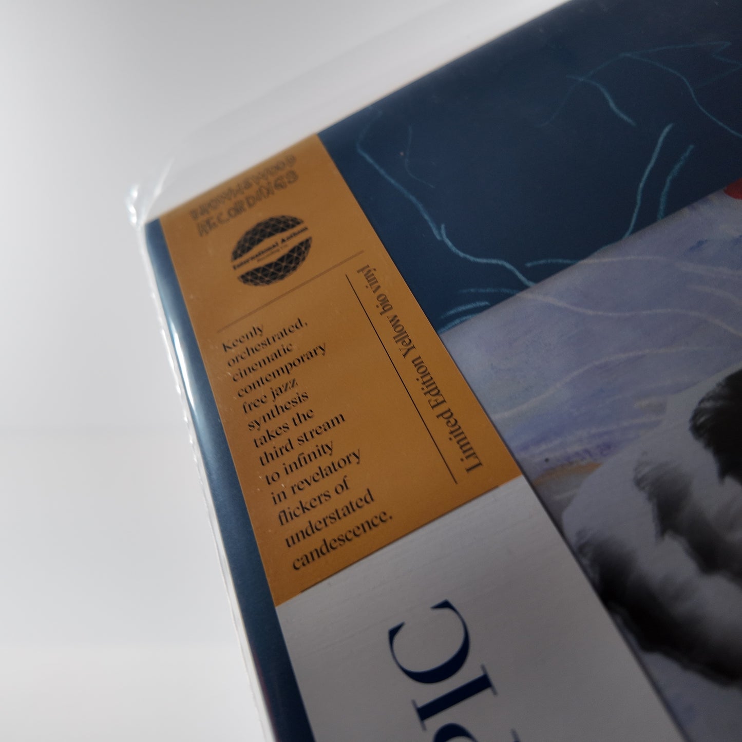 Tom Skinner - Kalaedoscopic Visions LP