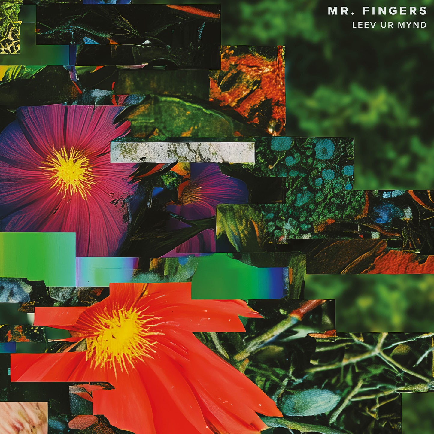 Mr. Fingers - Leev Ur Mynd LP